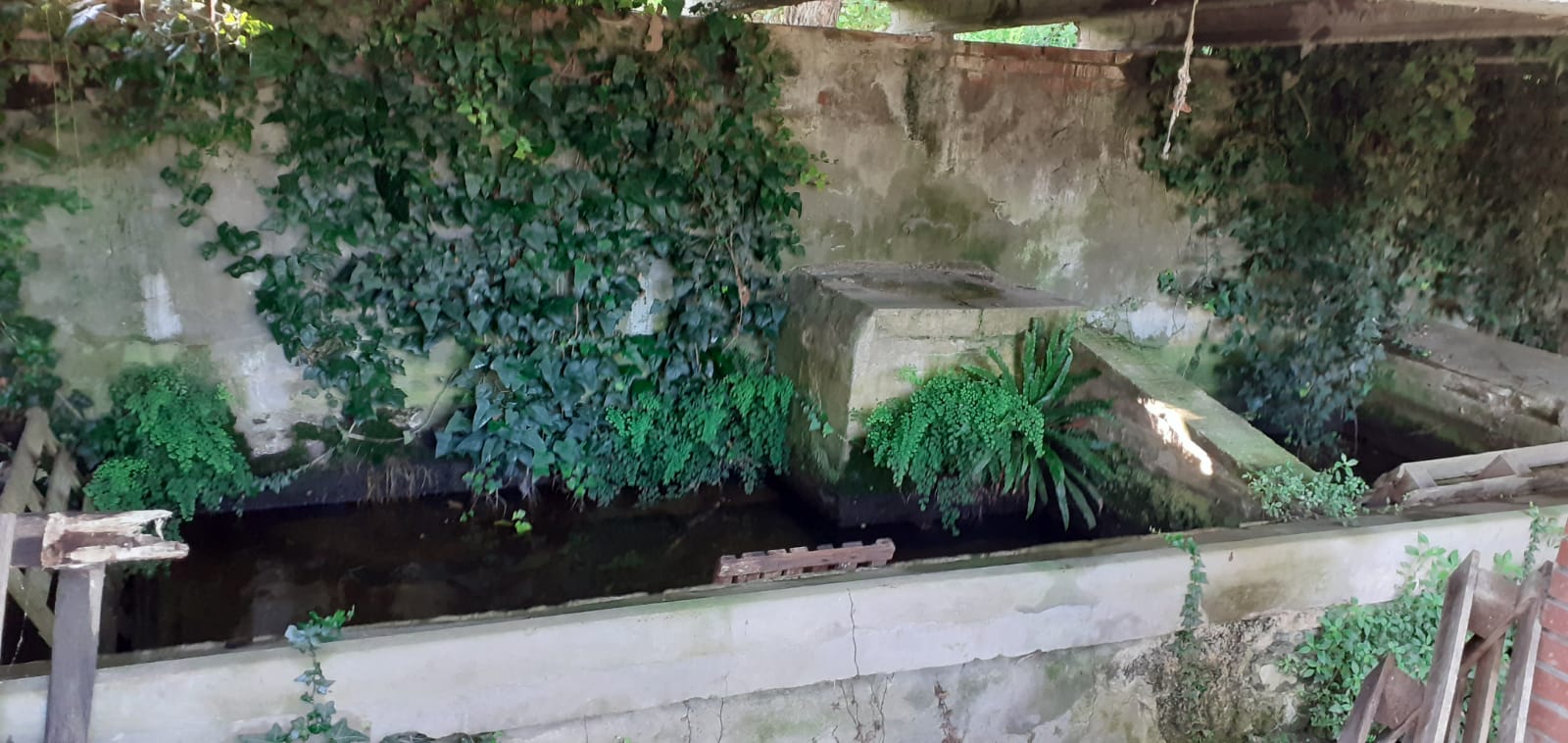 La fonte
